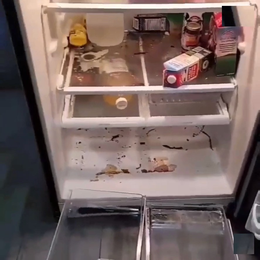 Refrigerator deep clean , before